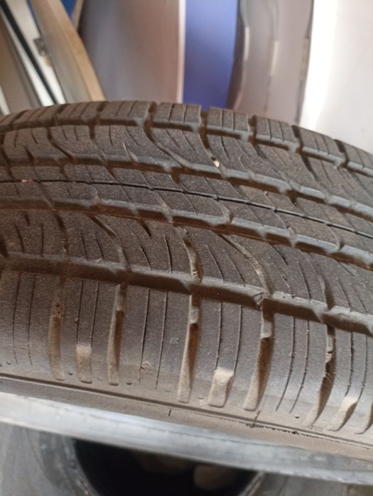 Резина летний сезон