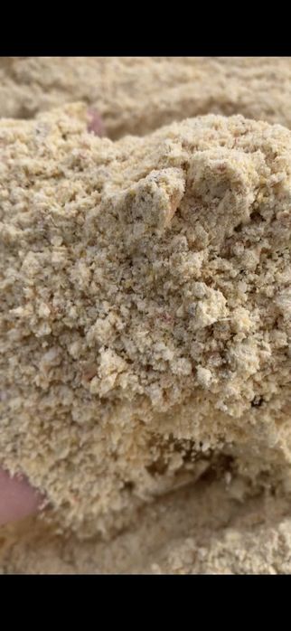 Porumb Boabe Vrac si Malai din Porumb Boabe