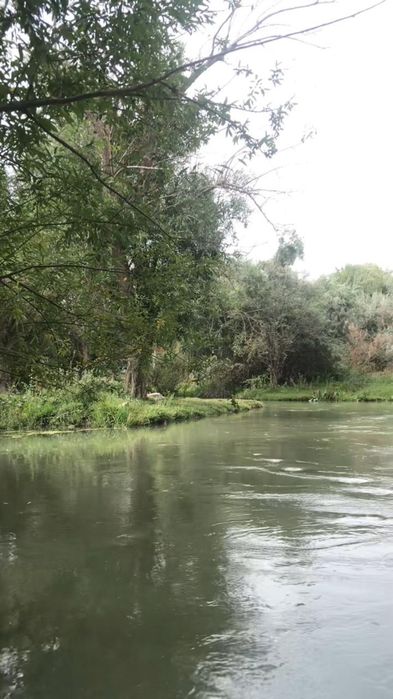 Продаётся дом в дачном масиве