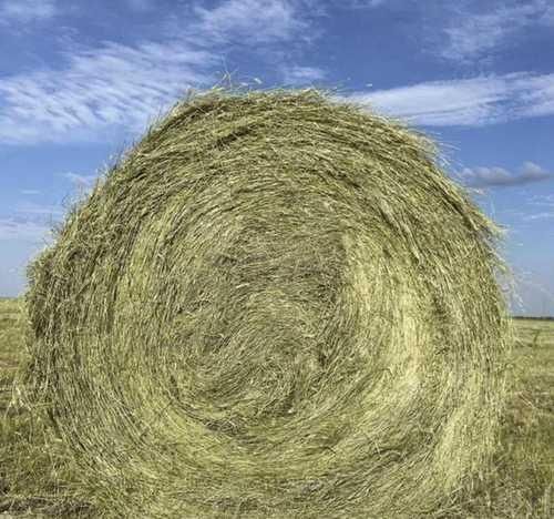 Рулон сено Астана