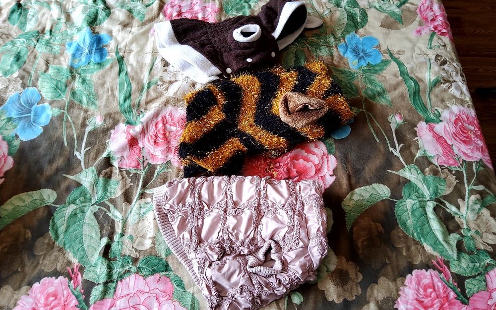 Продам одежду для маленькой собачки .