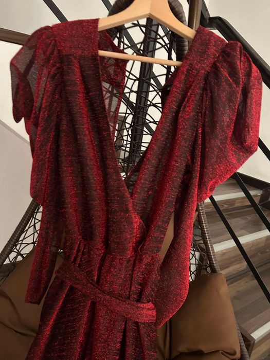 Salopeta Dana Budeanu