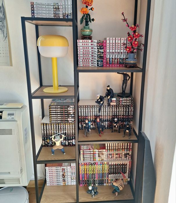 Манга колекция и фигурки, light novels