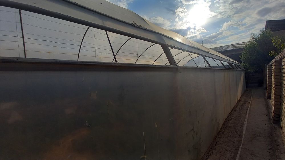 Парник сотилади келиштириб берилади