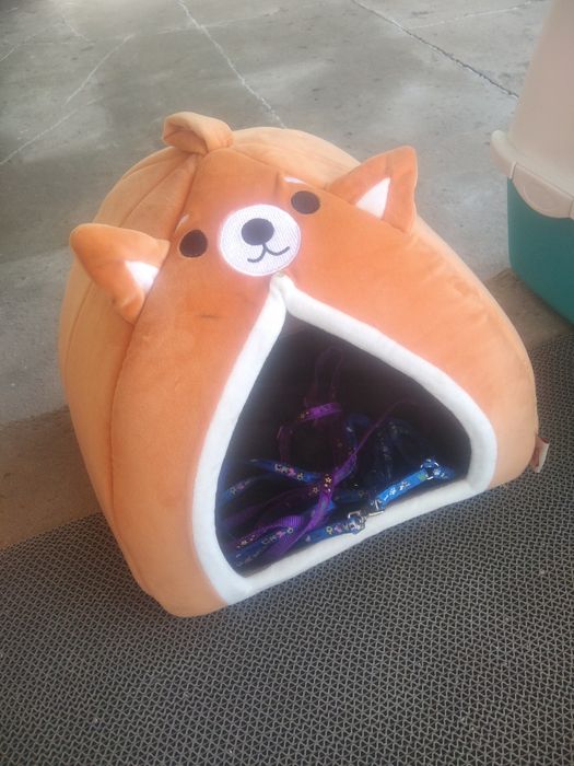 Аксессуары для кошек