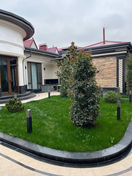 Sifatli gazon  eng arzon narxlarda 15 000