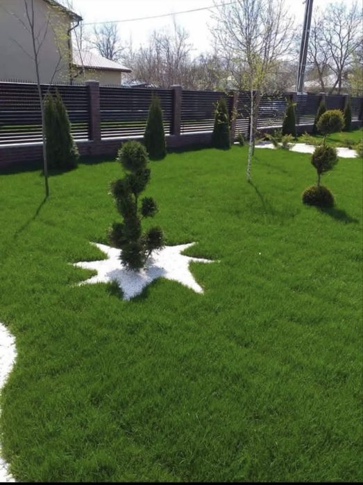 Plante ornamentale,gazon rulou,piatra decorativa,spartura alba,fantazi ratezieje,piatra cubica ,livram si montam in toata tara personal,oferim factura
