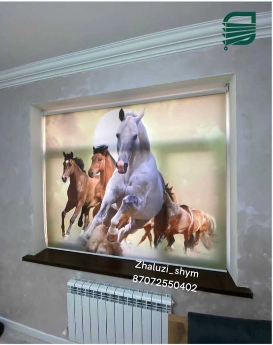 Жалюзи В Шымкенте Ролл Шторы