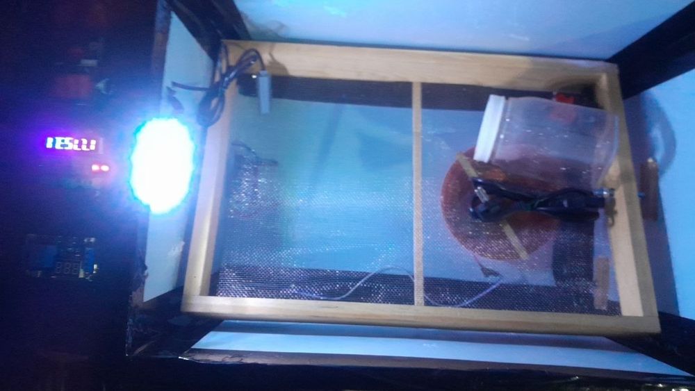 Inkubator poni aftomat 91 tali