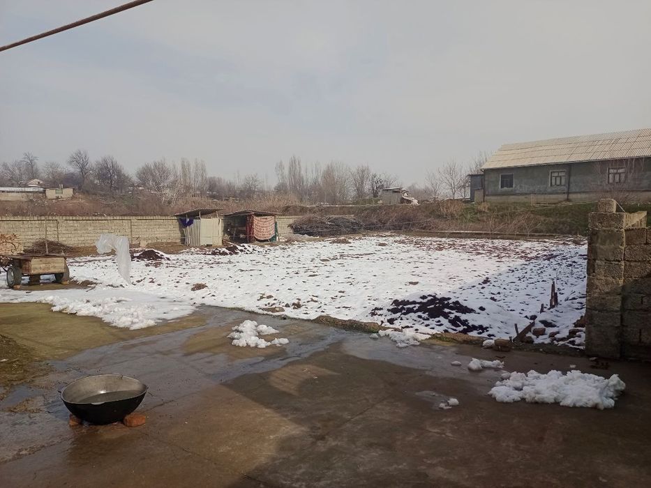 Уй сотилади Чиноз тумани