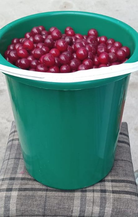 Продам  крупную вишню