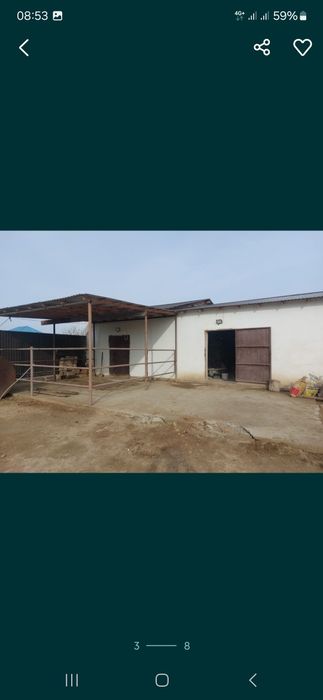 Фазенда (откорм) сатылады