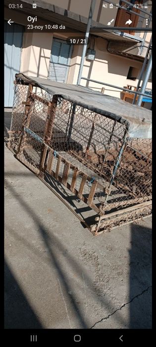 Tovuq boqish uchun katak