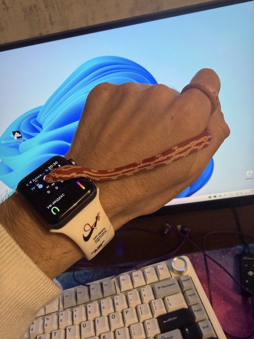 Маисовый полоз 6 месяцев