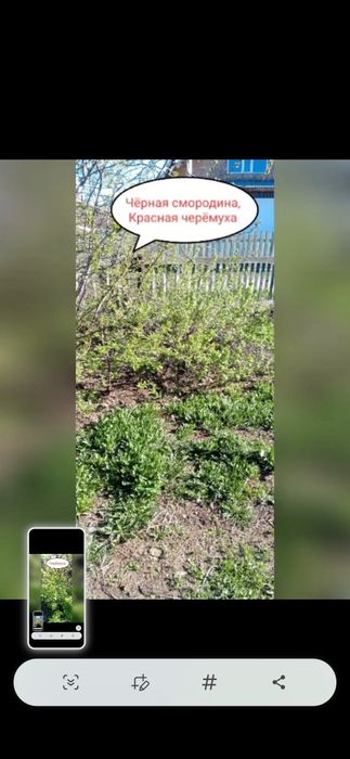 Продаётся деревянный дом