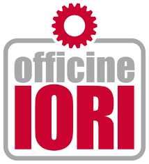 Electropalan Profi IORI cu brat extensibil 300kg 40m IORI-DM300AP