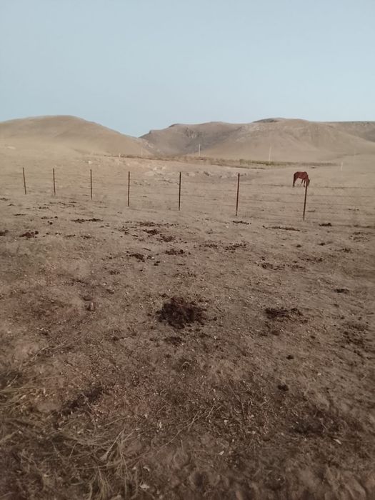 Земельный участок