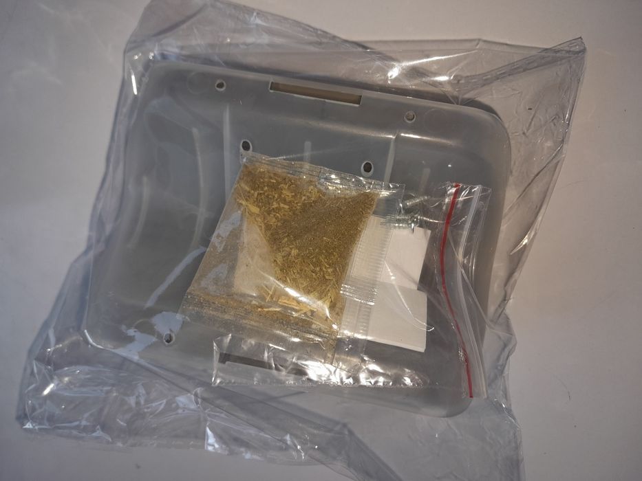 Всё необходимое для вашего котенка