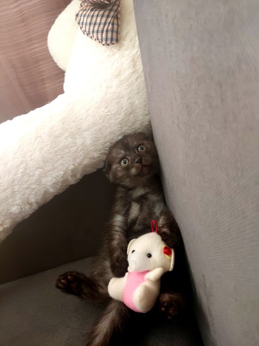 Мальчик 2 месяца