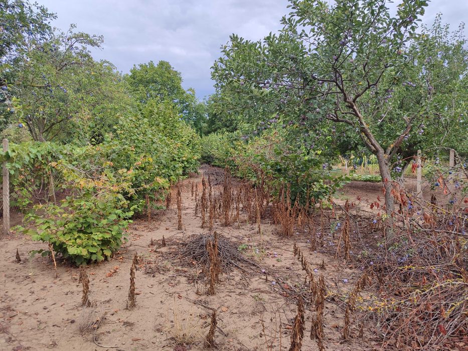 Продава се Парцел в Добрич, в.з. Лозята - 550 кв.м за 25 €/кв.м - Снимка #1