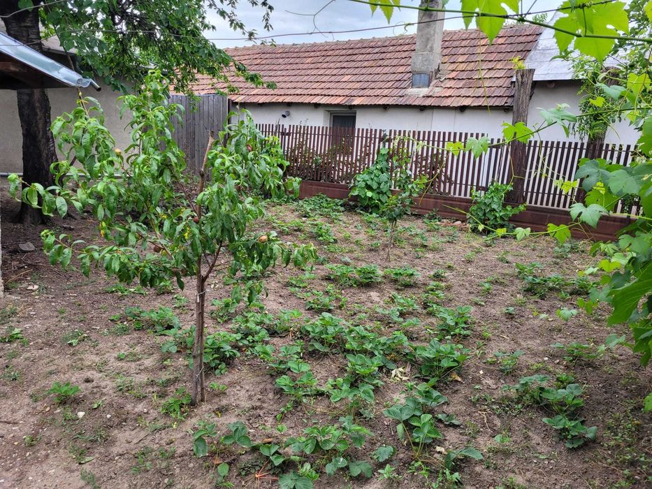 Casă 3 camere + teren 596 mp, Strada Sărbească nr. 1, Râmnicu Sărat – stare foarte bună
