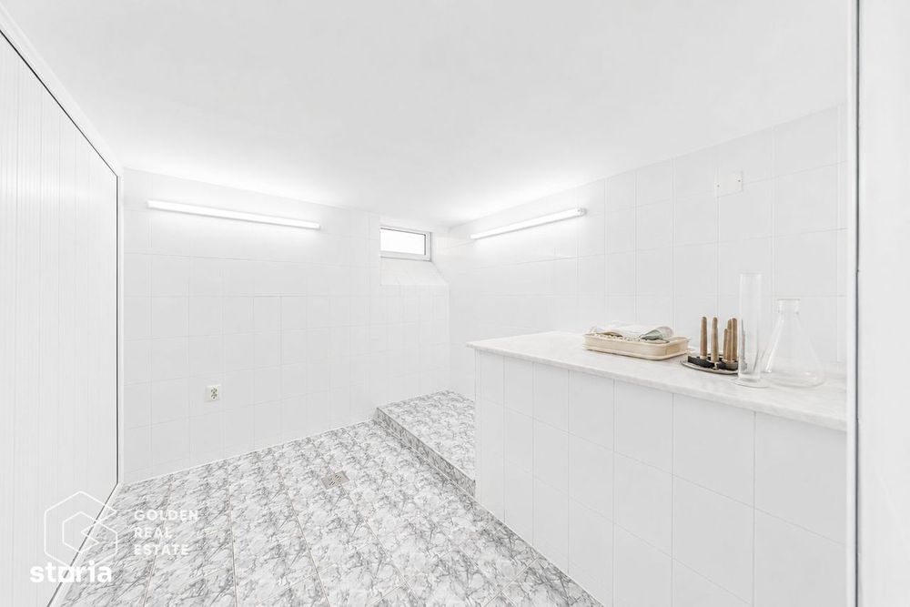 Cabinet medical, 200mp, parter+subsol-Policlinica Speciala, Boul Rosu