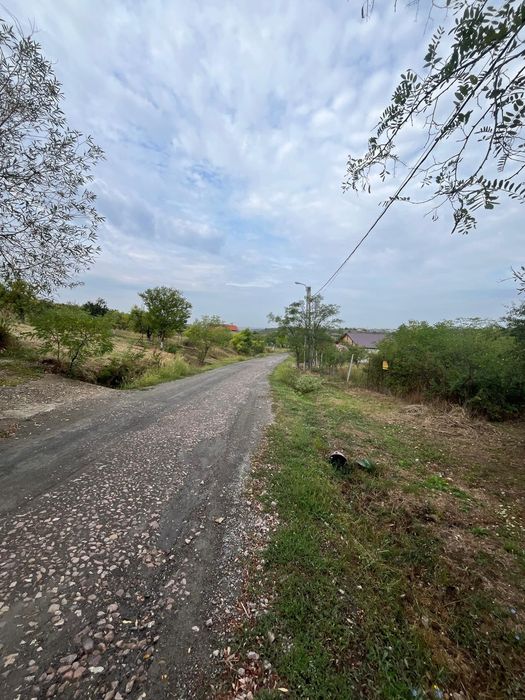 VÂND 1000 M Teren INTRAVILAN ,Zona Adevarului  Strada  LIVEZILOR