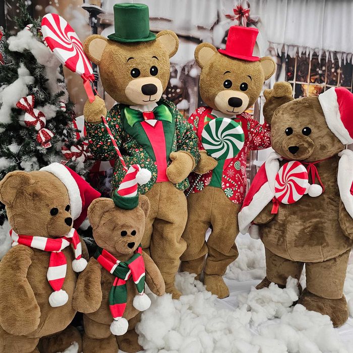 Costum Mascotă Urs de Crăciun Profesional, Mascotă Teddy Bear Crăciun, Cost Urs Evenimente, Mascotă Premium Handmade