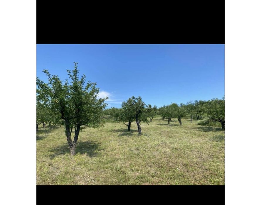 Vand teren deosebit de frumos pentru 1- 2-4 familii-5755 MP