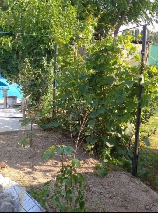 Загородный дом в тихом и уютном месте в 50 км от городской суеты