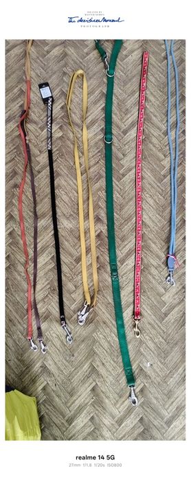 Zgarda pentru ciinii Italia