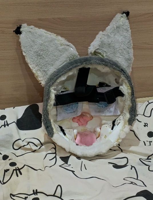 продаю фурхэд рыси