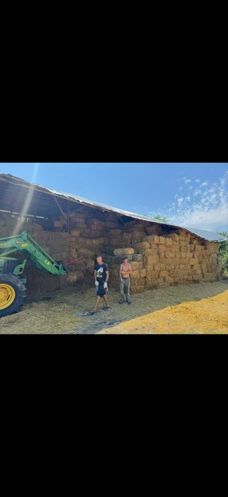 Baloti dreptunghiulari - baloti rotunzi si cereale