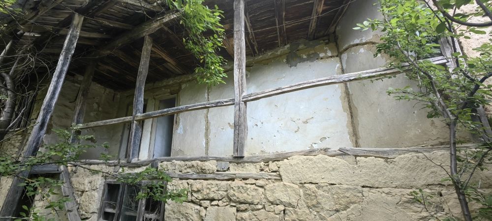 Къща с голям двор 3200 кв.м и река с. Новосел, обл. Шумен