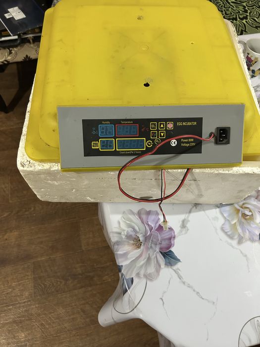 Инкубатор китайский