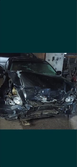 Костоправ маляр