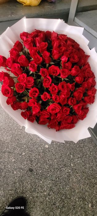Цветы 101 роза красный свежй