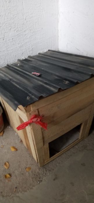 Собачая бутка новая