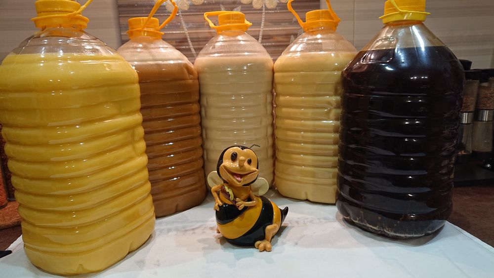 Мёд Восточно Казахстанский