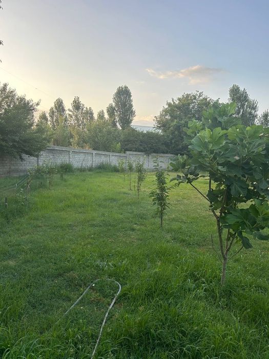 14 сото участка арендага