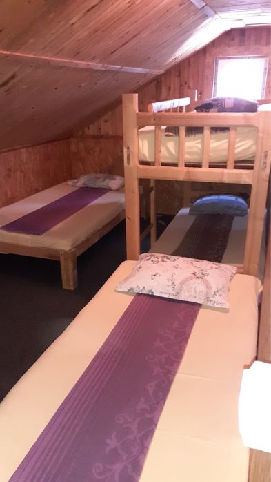 Cazare Straja  Cabana Florin