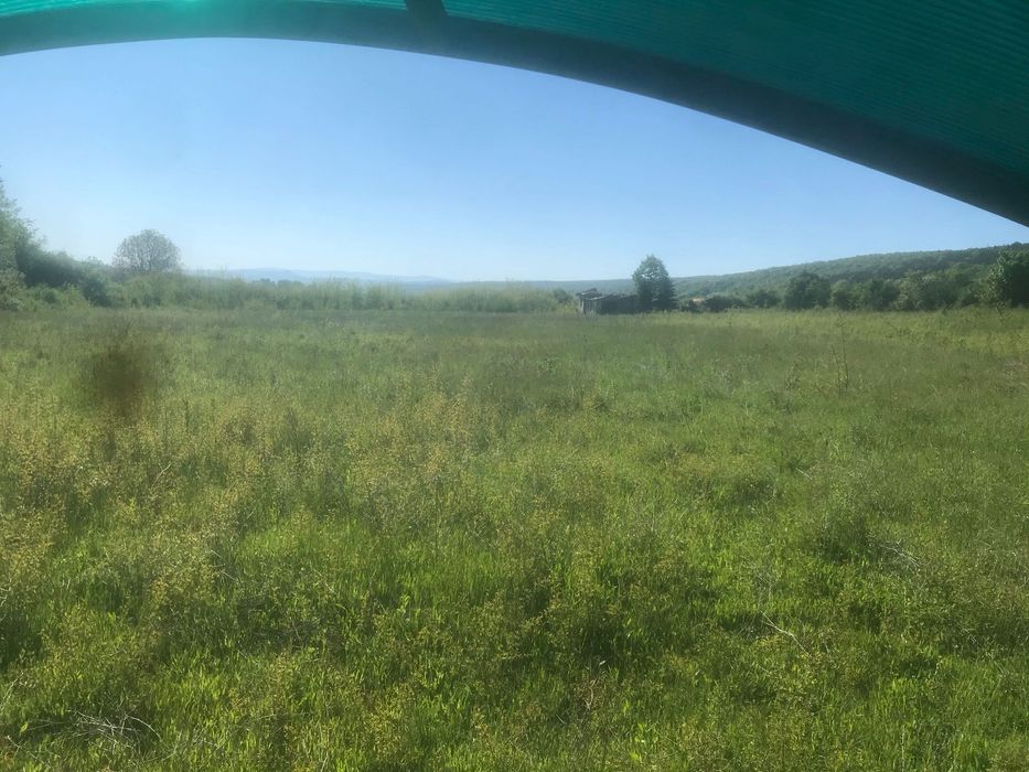 Предлагане на услуги С Булдозери и мулчер.