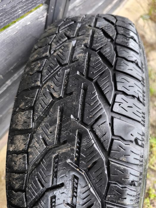 185 65 r15 iarnă Taurus