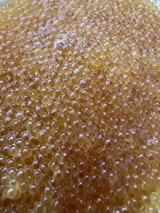 Малосольная икра щуки — нежнейший вкус!*