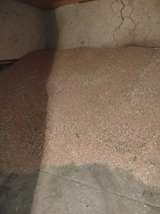 Бидай   сатылады.