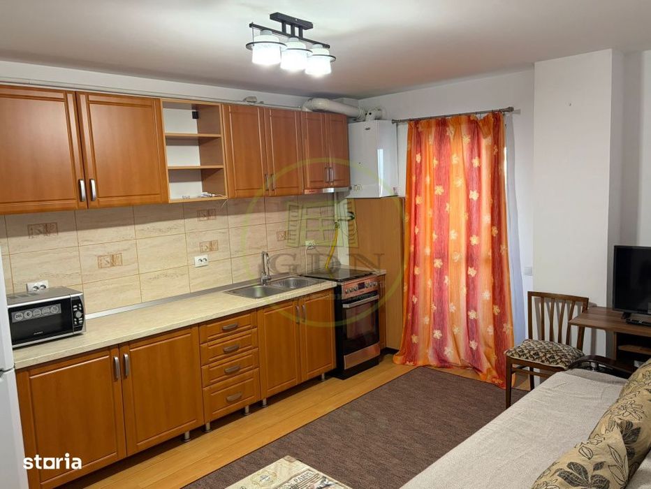 Apartament 2 camere de inchiriat-Zona Doamna Stanca