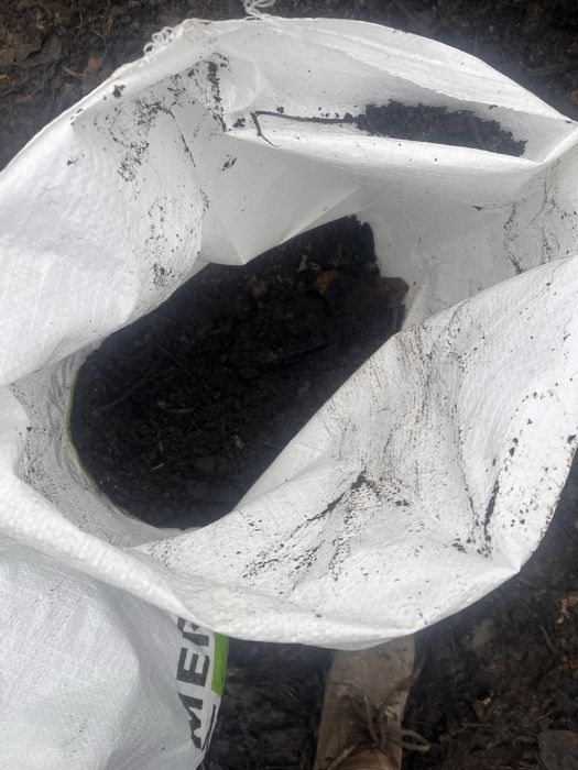 Pamant la sac pt  gradina