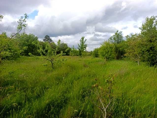 Голям парцел с площ от 2314 кв.м., в с. Храброво, общ. Балчик