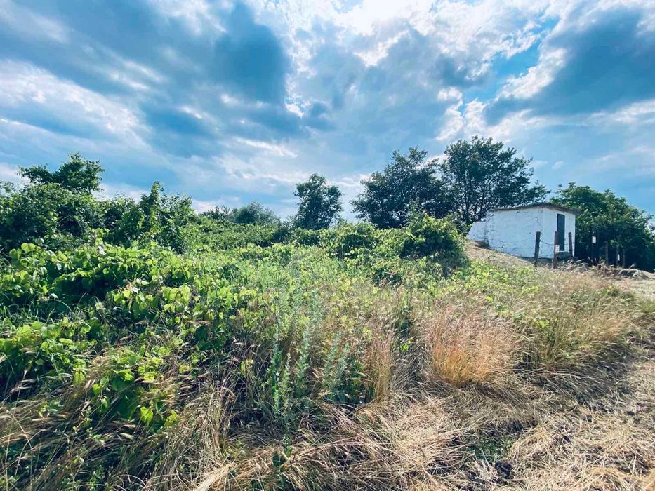 Продава се Земеделски имот в Варна, Възраждане 1 -  кв.м за 30 €/дка - Снимка #12