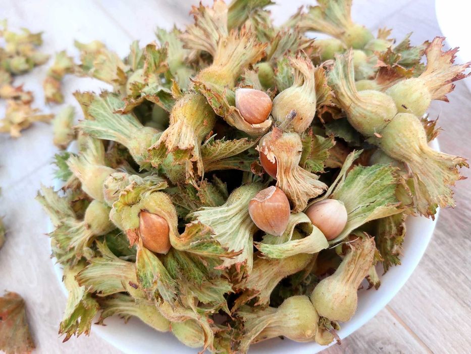 Продава се Земеделски имот в с. Драчево, Област Бургас -  кв.м за 2408 €/дка - Снимка #9